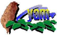 Yam